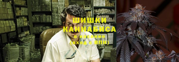 прущие грибы Алексеевка