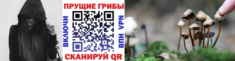 наркота  Нефтегорск  гидра зеркало  Галлюциногенные грибы MAGIC MUSHROOMS 